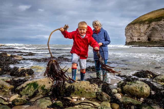 Marion Harrop, with grandson Oliver Love, aged five of York, having fun rock pooling at Thornwick Bay, Flamborough, on August bank holiday weekend (photo: James Hardisty).