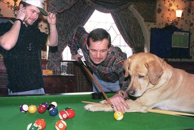 Retro 1996 - Oscar the pool playing dog enjoys a game of pool with regulars at The Stag pub in Orrell.