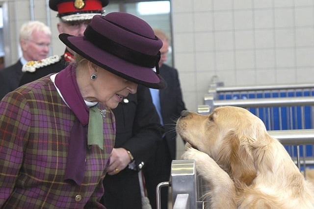 Princess Alexandra meets a trainee Guide Dog at a specialist training centre on Gib Field, Atherton, in May 2010.