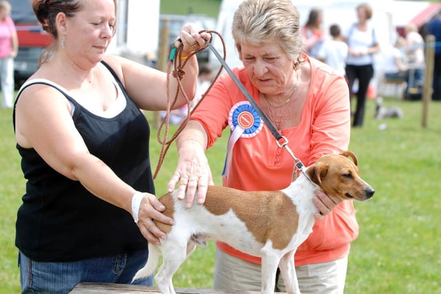 Judging at a dog competition at Haigh, Aspull and Blackrod Agricultural Show, Windmill Farm, Haigh, August 2010.