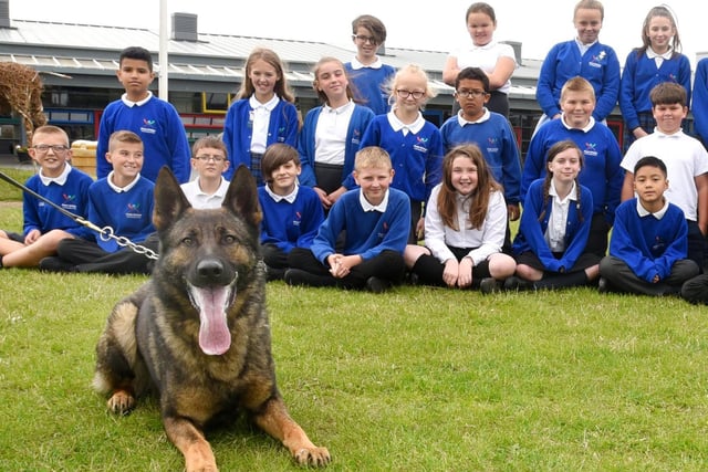 Police dog Draco, meets pupils, as Police officers, Police dog handlers and staff from Hindley Prison Service visit Year Six pupils, as children learn about job roles as part of Careers Week at Platt Bridge Community Primary School, Wigan.