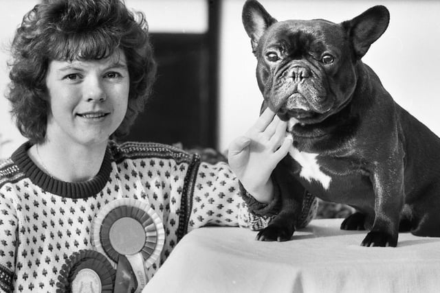 Diane Lewis from Standish with her French bulldog titled Nokomis Walking Bear at Kendi, which was successful at the annual Crufts dog show in February 1989. With its pet name Louis it won the third challenge certificate of its 19 month show career thereby qualifying as a champion.