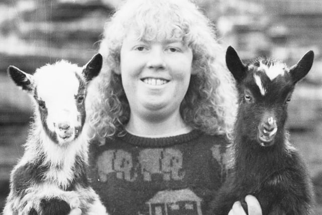 RETRO - Baby goats at Haigh Hall Zoo pictured with their keeper at the Haigh animal enclosure in 1987.