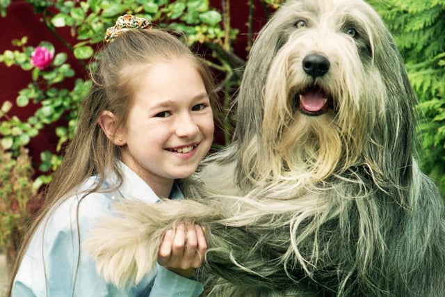 Young actress Leah Bosomworth meets her stage companion, a bearded collie named Griff, before rehearsals for Wigan Little Theatre's production of the musical "Annie" in May 1993.
