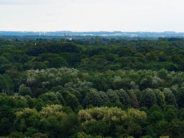 Best thing about the North West? We're just moments away from greenery such as this.