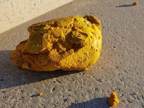 Large yellow blobs of palm oil washed up on the Lancashire coastline in 2017. The "rancid smelling" fatty substance, weighing about one tonne, was found on beaches at Cleveleys, Fleetwood, Knott End and St Annes, Wyre Council said.

Palm oil can be dangerous to dogs because it can contain other toxic products mixed in it, such as diesel oil from ships, according to Vets Now.