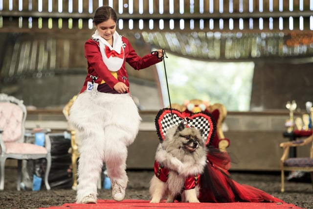 Lily Blathorn with Keisha the Keeshond dog, dressed as the White Rabbit and Queen of Hearts.
