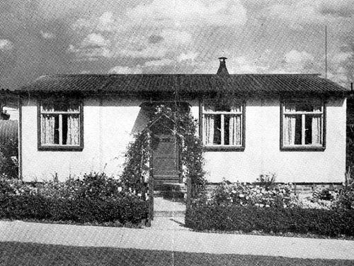 This garden at 4 Dulverton Road won the Hugh Lupton Challenge Cup for the 'finest Municipal Estate Garden' overall in 1951.