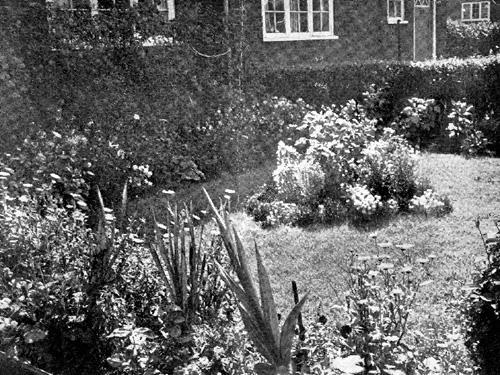 The garden of J.L. Sampson of 19 Oak Tree Walk, Gipton, who won a second prize of £2 in the Municipal Estates section of competition.