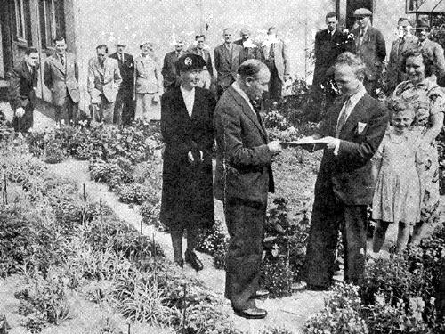 Chairman of the Flowers for Leeds competition Robert Barr presents firs prize to the winner of Class 17 of the Municipal Estates section H.S. Newborn in 1951. He was awarded a special certificate and £3 for his garden at number 1 Whitfield Street, Low Road.