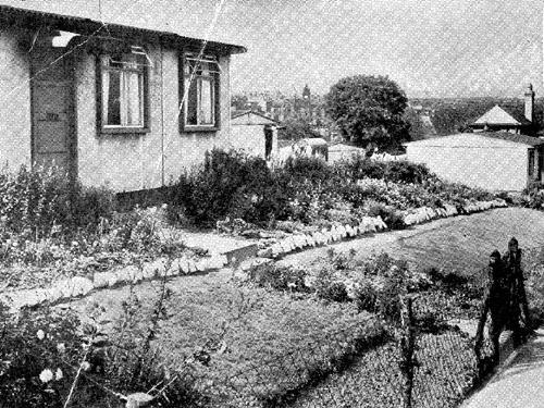 This garden was on post-war St. Mark's pre-fab estate and residents working with cleared sites such as this one only had a very shallow layer of soil to create their displays.