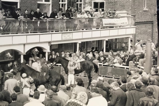 Horses on parade at Pontefract Racecourse many years ago