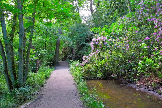 This seven mile linear walk runs from Meanwood Valley through to Breary Marsh, next to Golden Acre Park, meandering through pretty woodland along a relatively flat route, fit for all abilities.