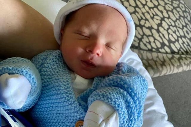 All snug dressed in blue, Arthur was born on September 11, 2020. Thanks to Jenny Sutton for sharing.