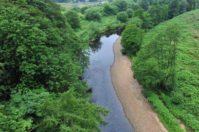 Nestling between Harrogate and Knaresborough, the woodland, which dates back to at least 1600, is actually made up of five woods, Coalpits Wood, Bilton Banks, Spring Wood, Scotton Banks and Gates Wood.Nidd Gorge, Ripley Rd, Knaresborough HG5 9HE.