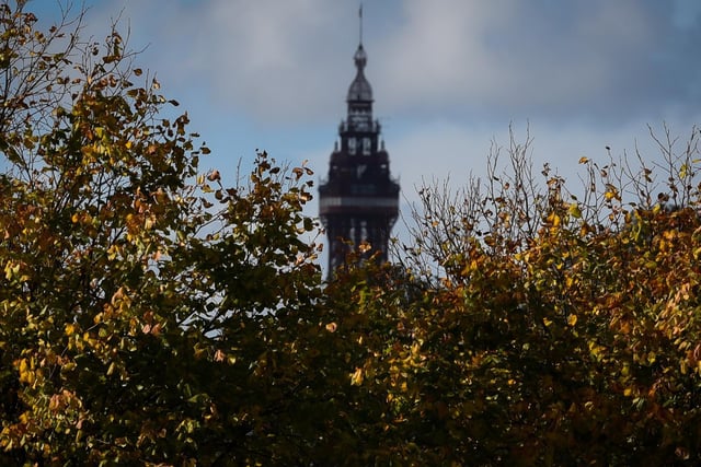 Blackpool Tower framed between some golden leaves