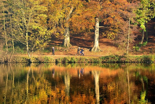 Featuring acres of woodland, Newmillerdam is home to a and a lakeside path for walkers and joggers, Newmillerdam Country Park is home to a whole host of wildlife, including bats, Mallards and squirrels.