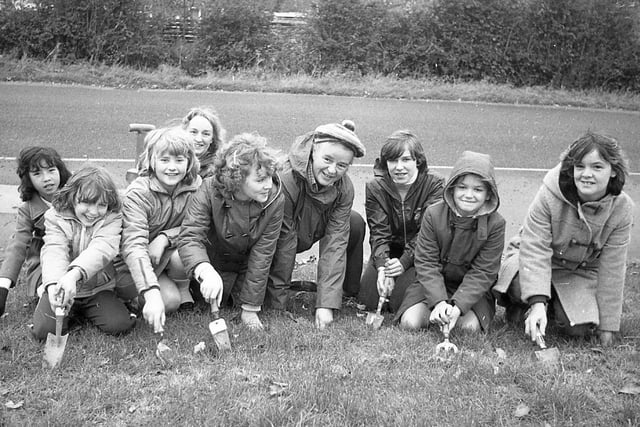Young guides and brownies of Preston made light work of a marathon bulb planting project. They braved cold winds to plant more than 5,000 crocus bulbs at the entrance to the Threefields estate, Ingol. The sponsored plant-in was to help raise cash for the Harriet Trust. Pictured are the 1st Tanterton Guides on the bulb planting session