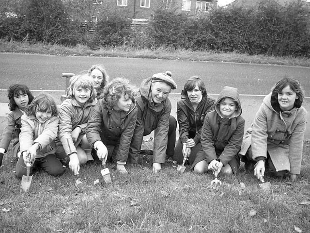 Young guides and brownies of Preston made light work of a marathon bulb planting project. They braved cold winds to plant more than 5,000 crocus bulbs at the entrance to the Threefields estate, Ingol. The sponsored plant-in was to help raise cash for the Harriet Trust. Pictured are the 1st Tanterton Guides on the bulb planting session