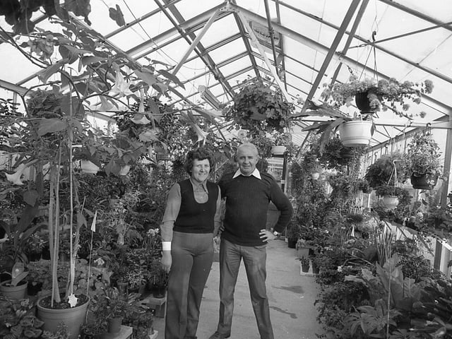 Greenacres Garden Centre in Hambleton