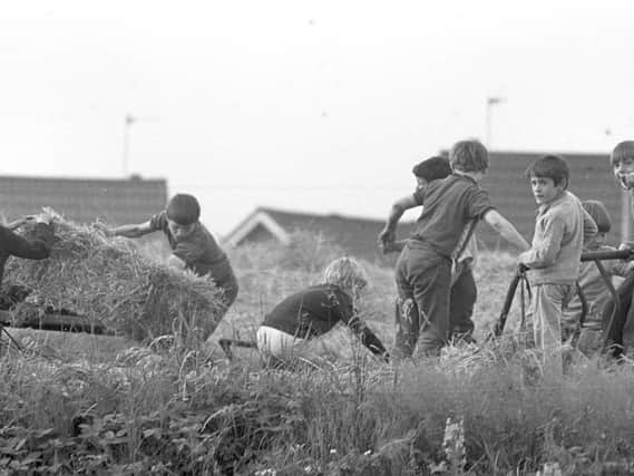 Youngsters help out during the haymaking season at Standish farms in 1972