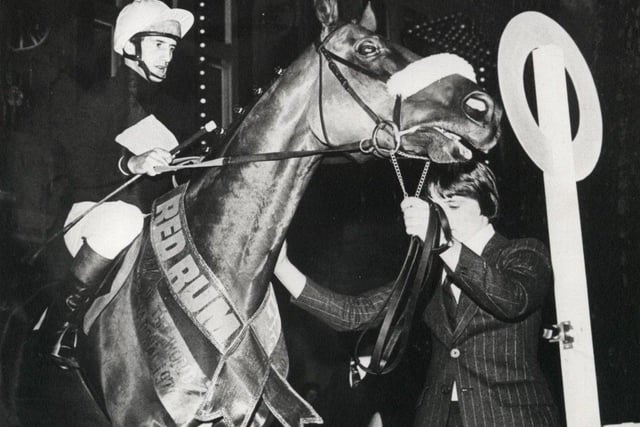 Red Rum switches on Blackpool illuminations in 1977 with jockey Tommy Stack