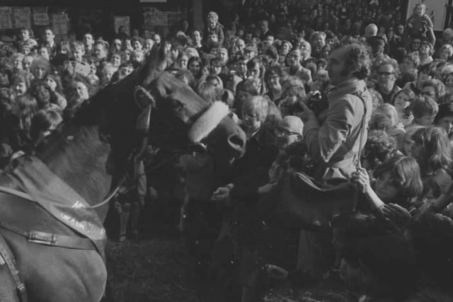 Red Rum at the covered market in Preston in 1977