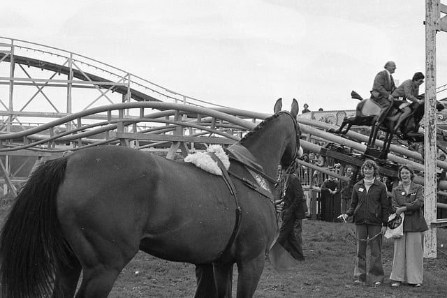 Red Rum inspects the Steeplechase ride at Blackpool Pleasure Beach in 1977