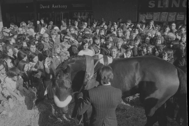 Red Rum meets the crowds at the covered market in Preston in 1977