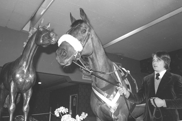 Red Rum at a bookmakers in Bamber Bridge in 1981