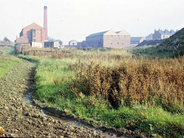 Photograph taken near to the source of the Valley Stream, a spring emerging from a railway embankment off Bruntcliffe Lane.