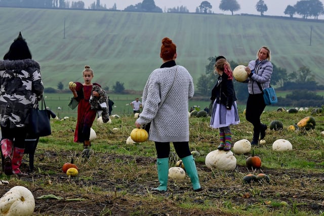 If you're hoping to get into the Halloween spirit this October, look no further than Farmer Copleys. The family-run farm, between Pontefract and Featherstone, offers visitors their choice of more than 130,000 pumpkins, as well as a selection of spooky entertainment. Tickets must be booked in advance.