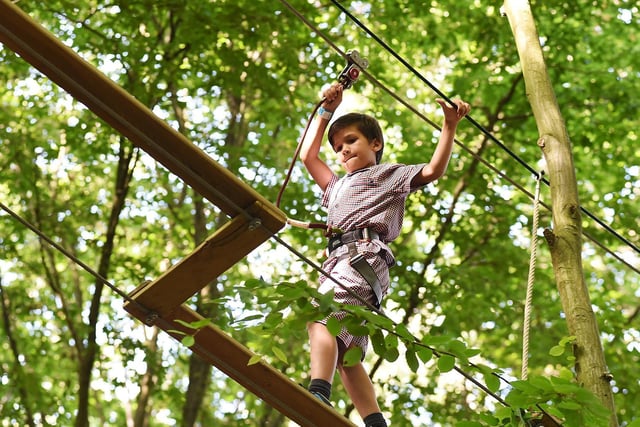 If you're looking for something a little more exciting this half term, why not give Go Ape a go? The tree top adventure at Temple Newsam offers different levels of challenges, including zip lines, Tarzan Swings and much more. Tickets should be booked in advance at goape.co.uk