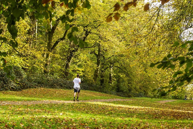 A jogger in the parkland of Temple Newsam House, Leeds