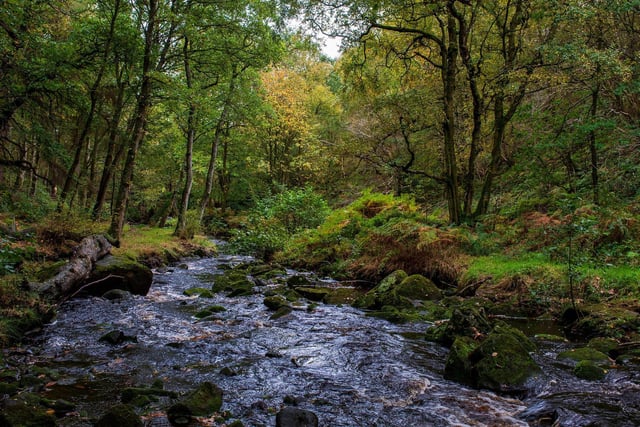 Autumn colours surround the streams and reservoirs of the Rivelin Valley, near Sheffield