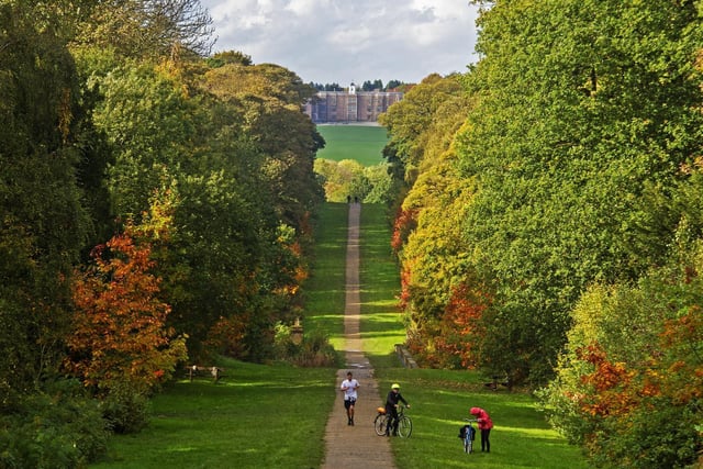Temple Newsam parkland glowing in autumnal colour