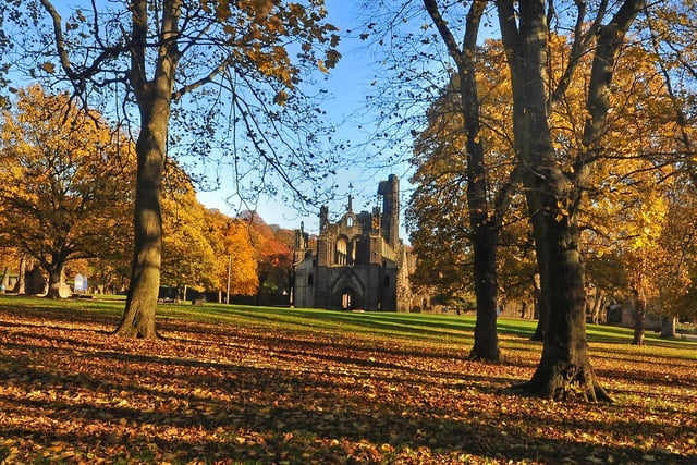 Autumnal sunshine highlights the golden hues in the grounds of Kirkstall Abbey