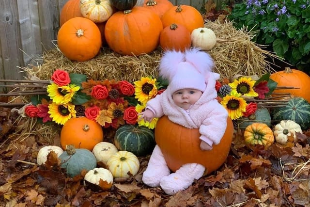 This is Sapphire Blue Bennett's first Hallowe'en as she is only six weeks old