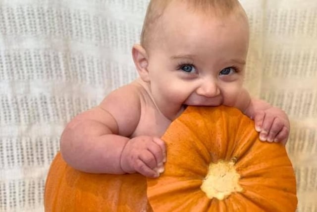 Edward Barsby, Goulbourn, who is six months old, looks like he is loving his first Hallowe'en