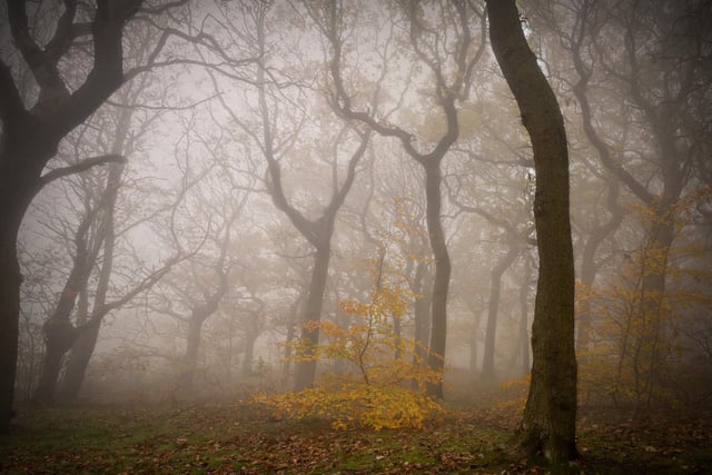 Did you capture any snaps of the fog in Wakefield this morning?