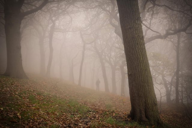 In Woolley, photographer Lee Ward captured a ghostly figure passing through the woods.