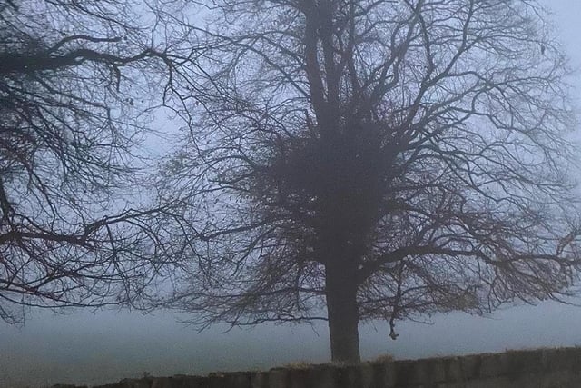 Shrouded in fog, this photo looks like something out of a film.
