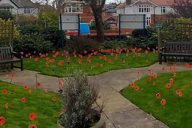 Hundreds of hand made poppies on display at Prior Court Nursing Home, Ansdell