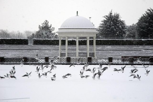 Seagulls in front of Stanley Park's bandstand