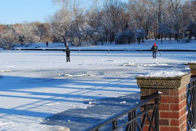 A frozen Stanley Park lake