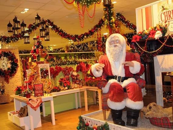Garden centres are still open for business, and ready for Christmas
