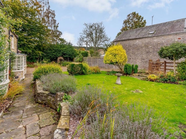The attractive garden
