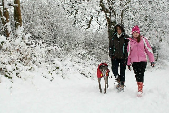 Sally and Vicky Flint walk Trader in the snow.