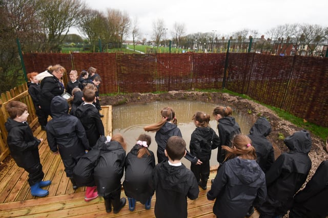 Last year the school managed to get hold of  some grassed land on the edge of Claremont Park - and it has been transformed into a wood and wetland area