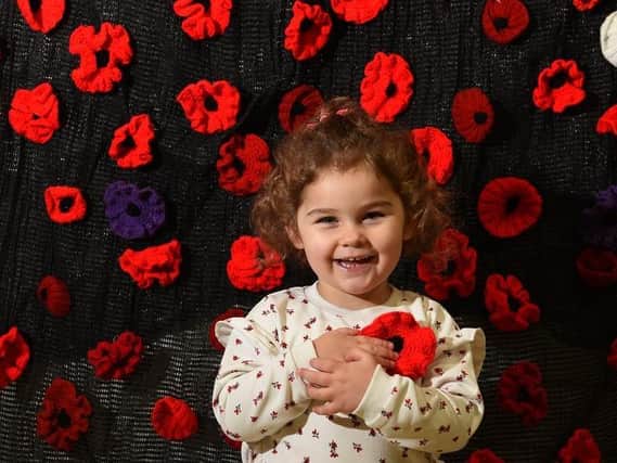 Kaydee Cuerden, three, with the poppy display at Leyland market made by Leyland in Bloom